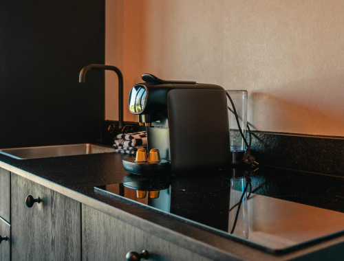 Inductie van Familie suite 4 personen in Hotel Biesbosch