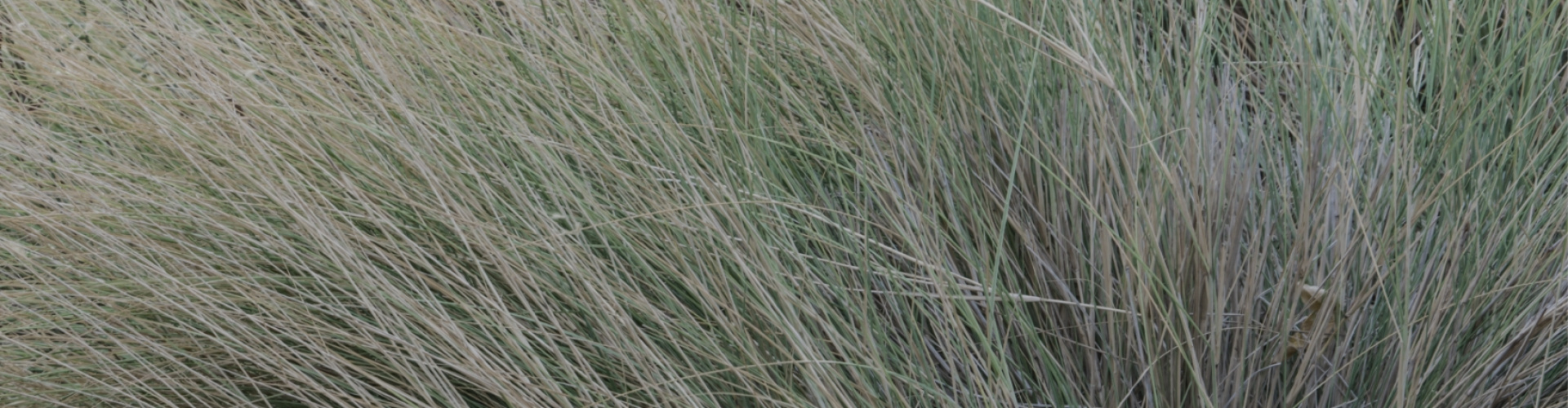 Vergaderen bij Hotel Biesbosch Drimmelen