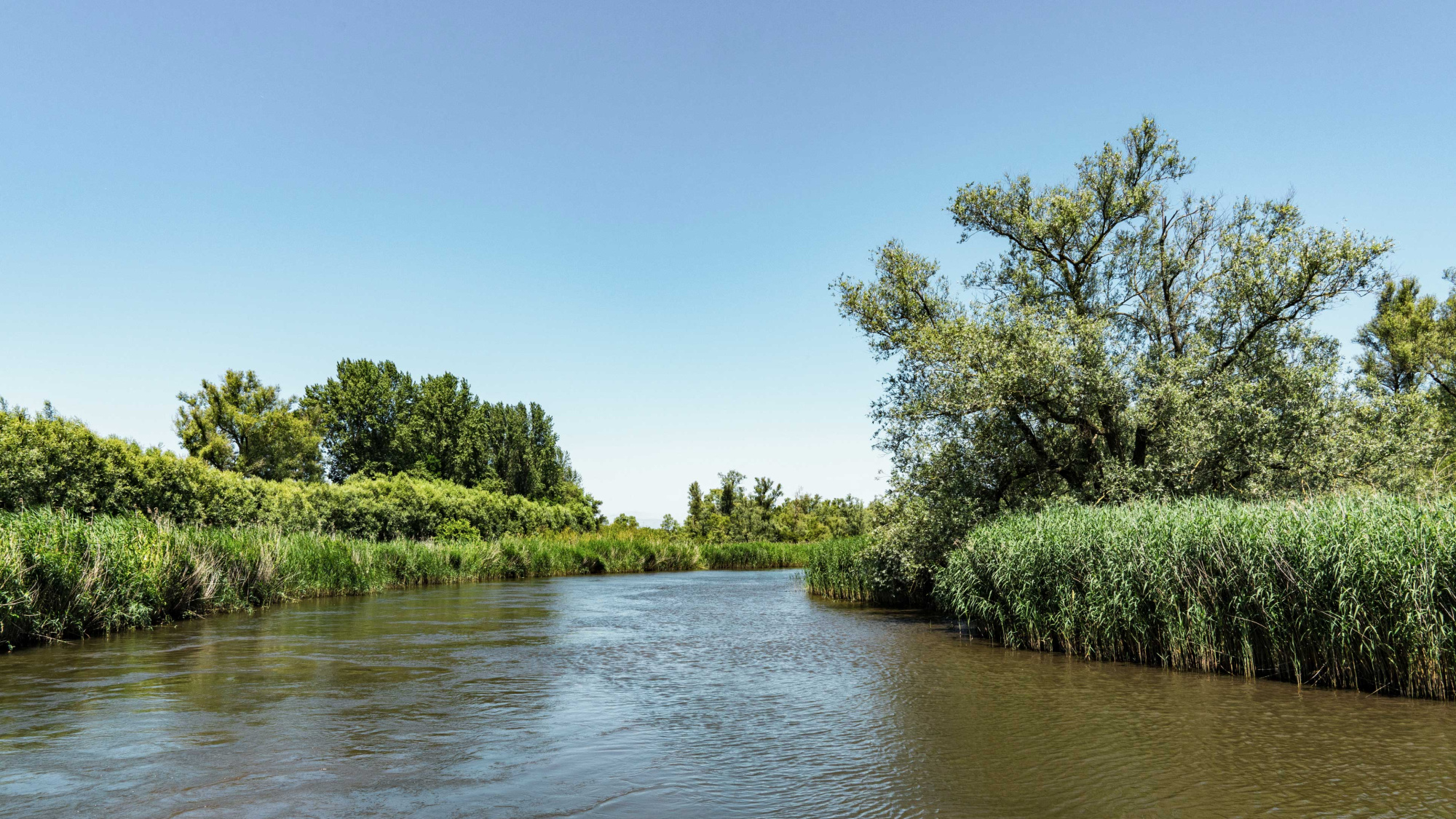 Biesbosch - diner en lunche arrangementen voor vergaderzaal